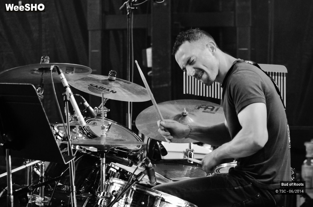 25/44 photos du spectacle Bud of Roots