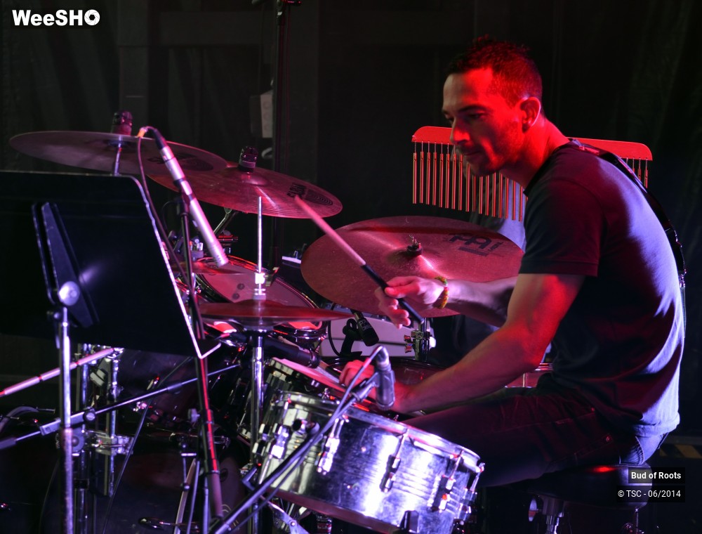 26/44 photos du spectacle Bud of Roots