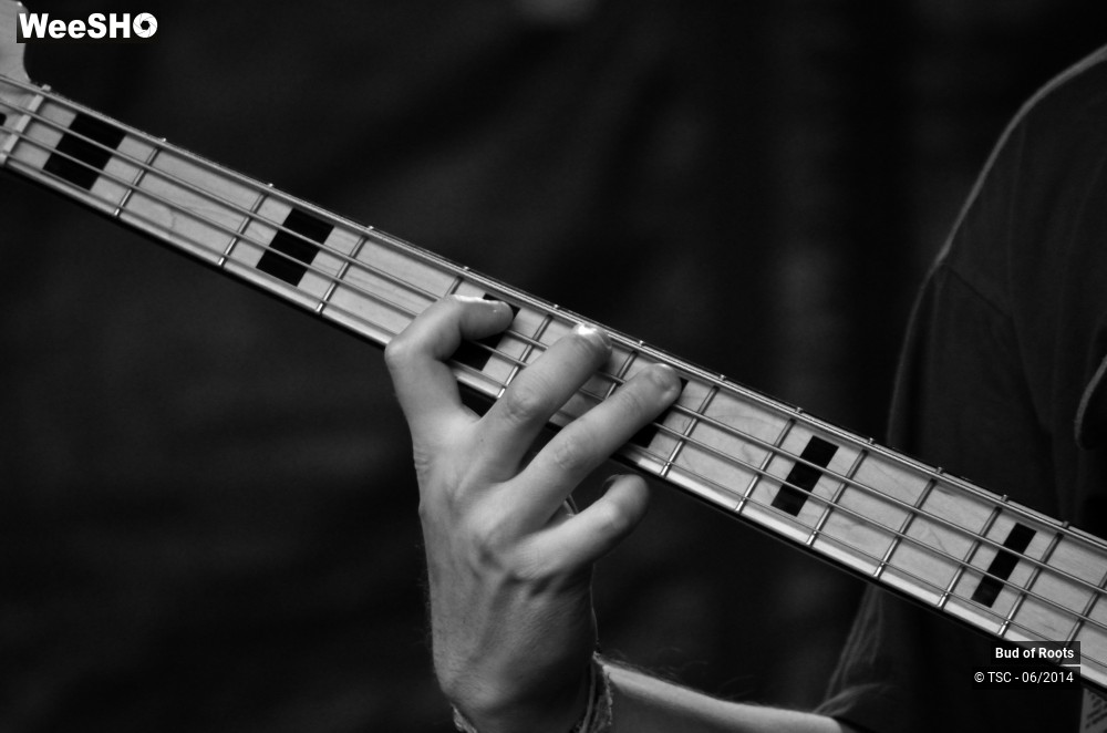 27/44 photos du spectacle Bud of Roots