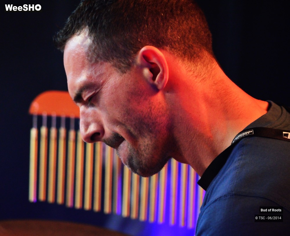 28/44 photos du spectacle Bud of Roots