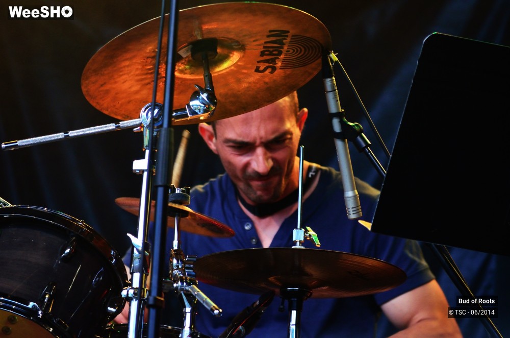 30/44 photos du spectacle Bud of Roots