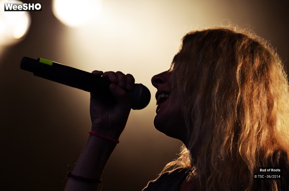 32/44 photos du spectacle Bud of Roots