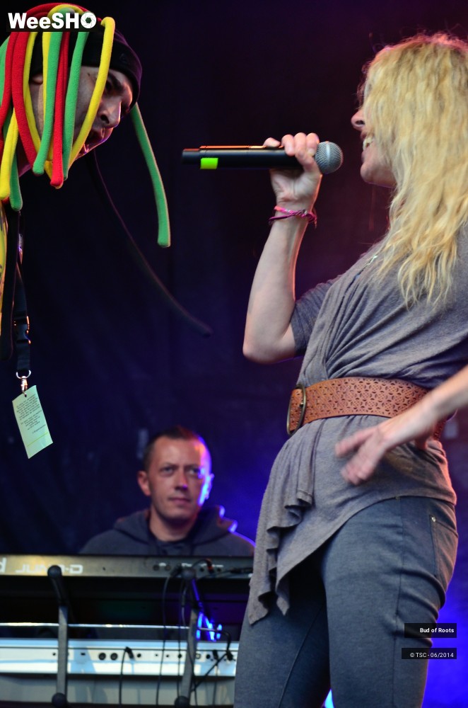 36/44 photos du spectacle Bud of Roots