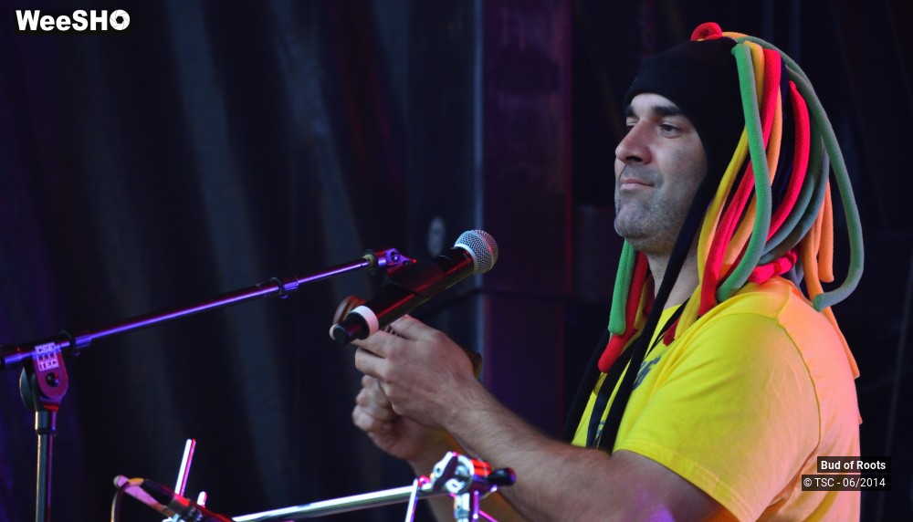 37/44 photos du spectacle Bud of Roots