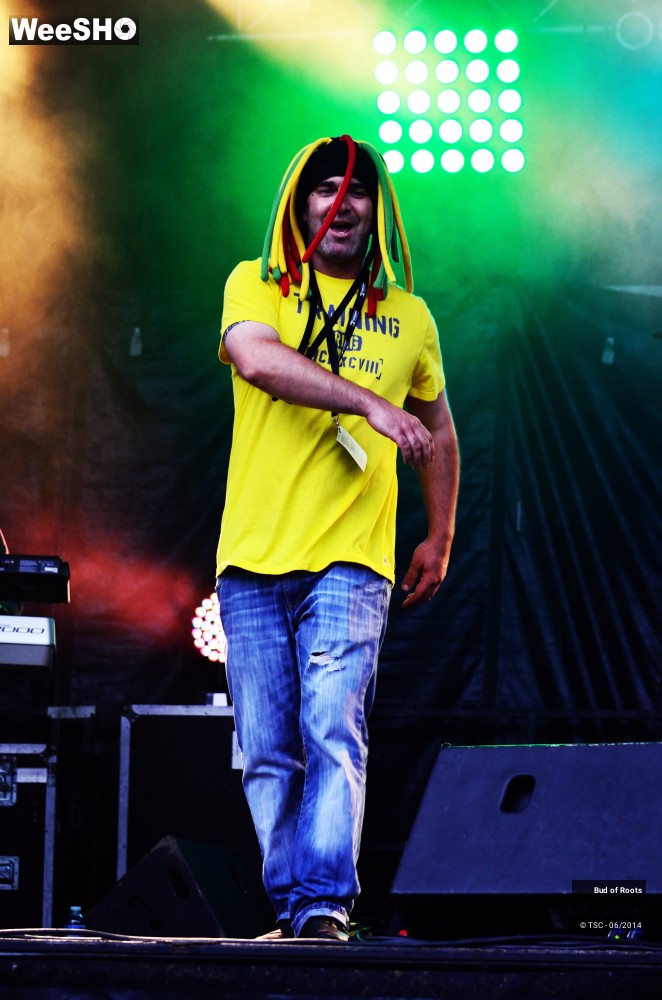 38/44 photos du spectacle Bud of Roots