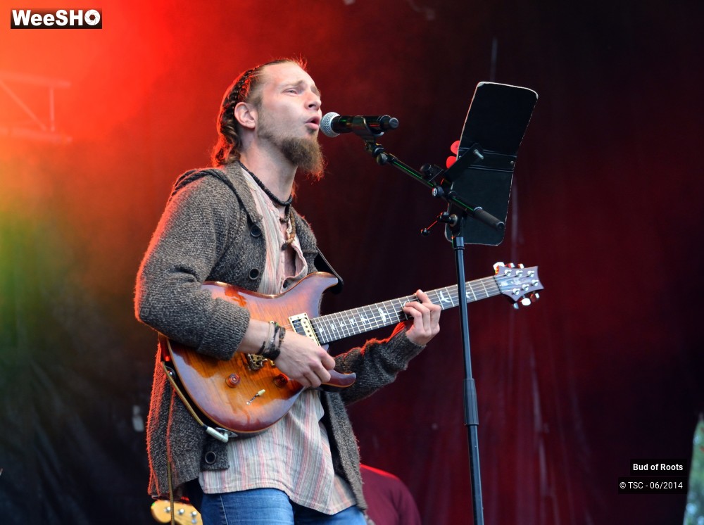 40/44 photos du spectacle Bud of Roots