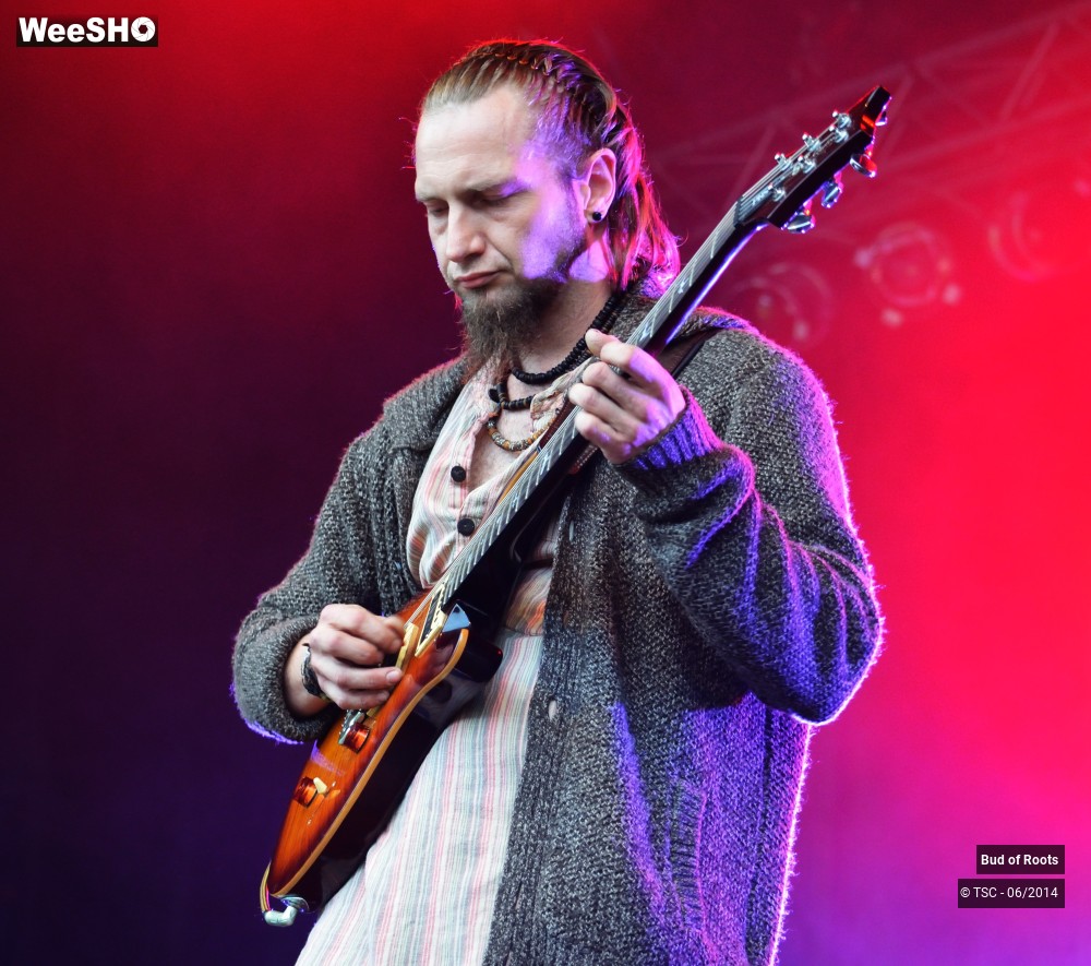 41/44 photos du spectacle Bud of Roots