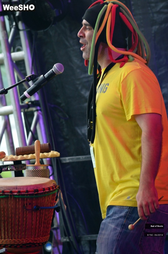 44/44 photos du spectacle Bud of Roots