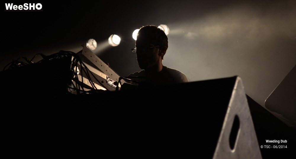 5/16 photos du spectacle Weeding Dub