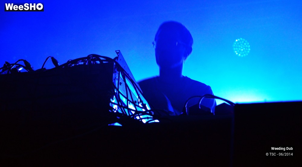 10/16 photos du spectacle Weeding Dub