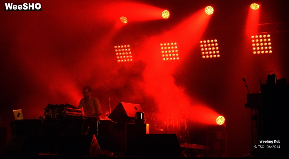 11/16 photos du spectacle Weeding Dub