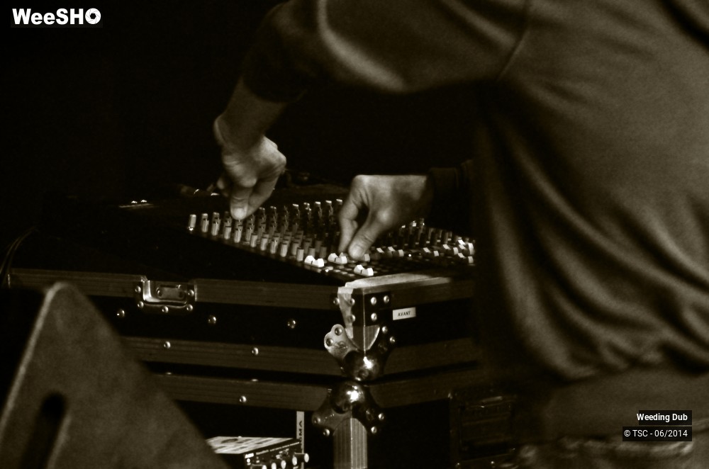 13/16 photos du spectacle Weeding Dub