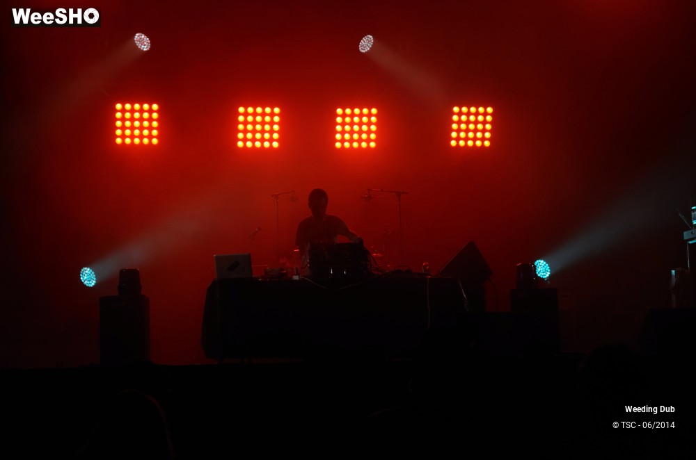 14/16 photos du spectacle Weeding Dub