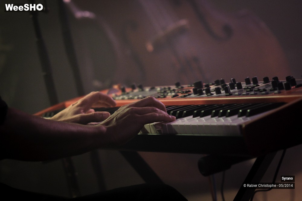 15/33 photos du spectacle Syrano