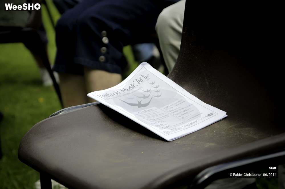 5/12 photos du spectacle Musik'art 2014 Staff