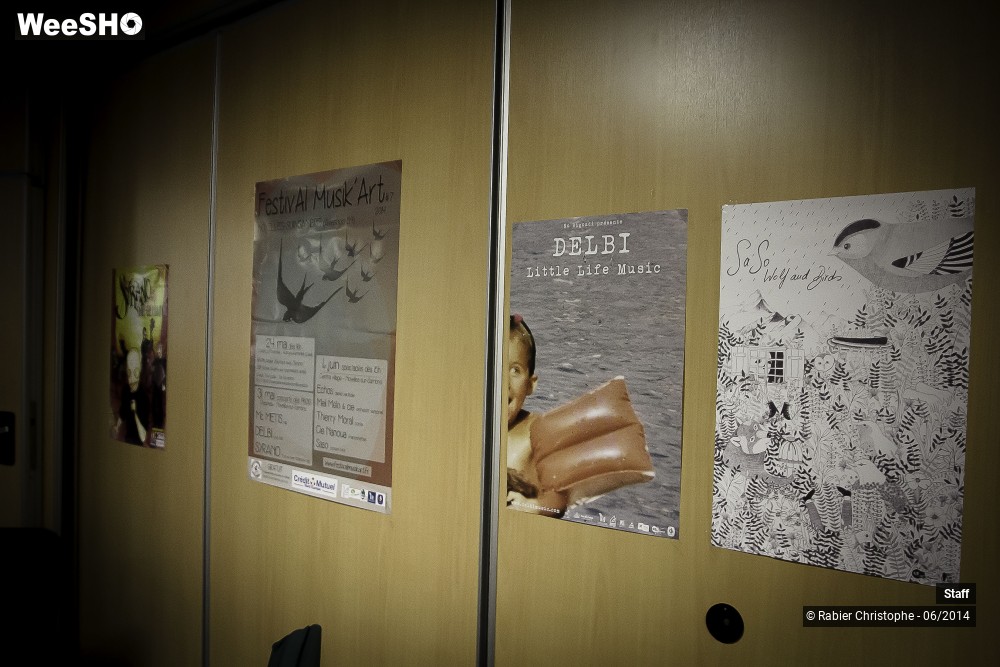 10/12 photos du spectacle Musik'art 2014 Staff