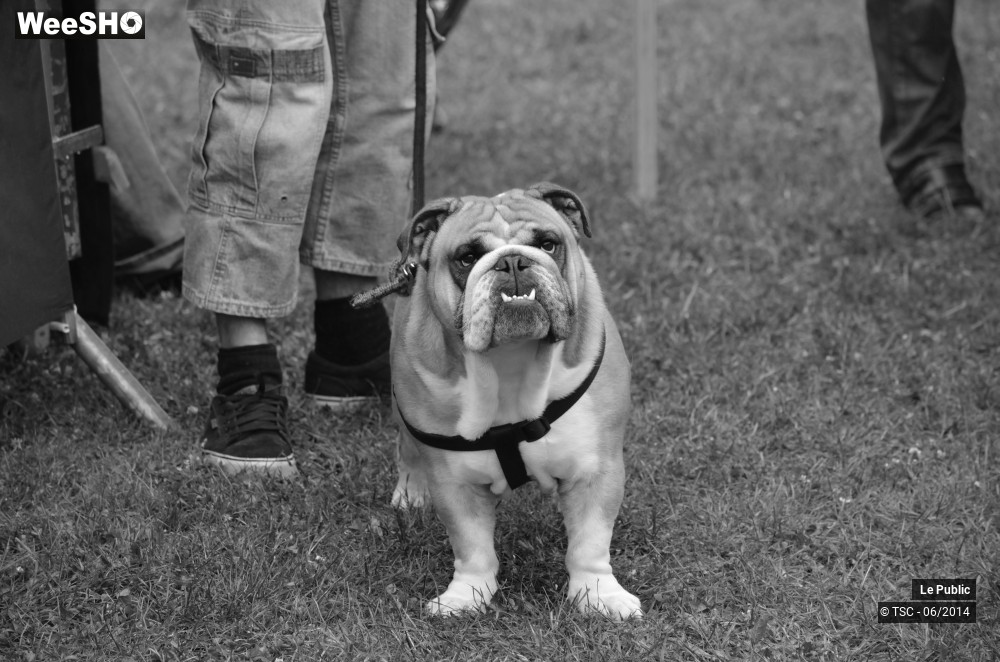 12/29 photos du spectacle Ambiance festival du mélange 2014 jour 1