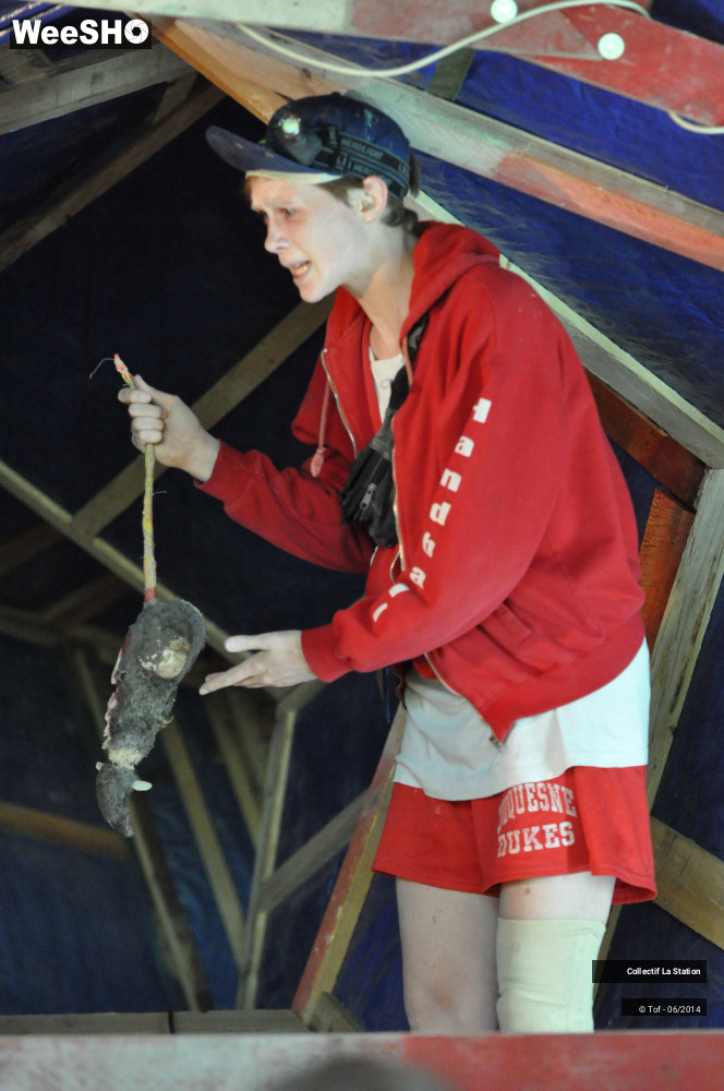 1/29 photos du spectacle Gulfstream