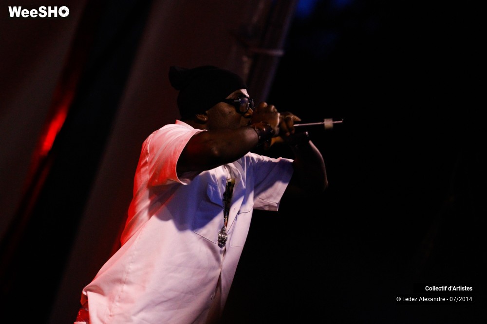 6/41 photos du spectacle Star 80' et Dj Mam's