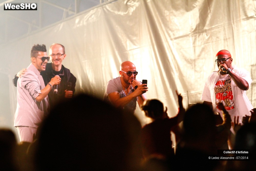 7/41 photos du spectacle Star 80' et Dj Mam's