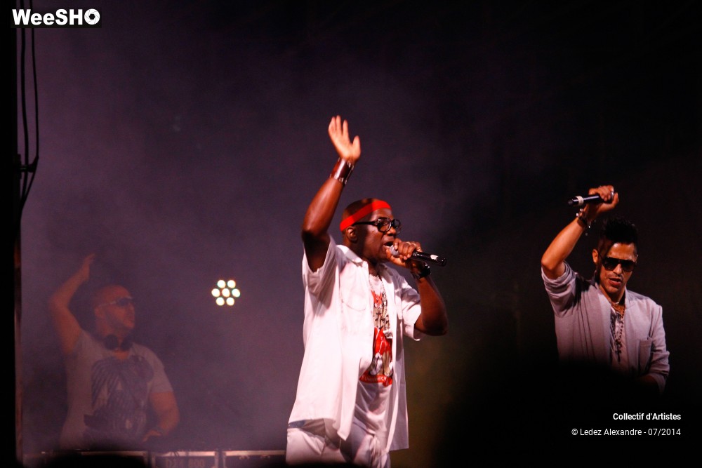9/41 photos du spectacle Star 80' et Dj Mam's