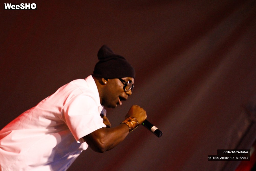 11/41 photos du spectacle Star 80' et Dj Mam's