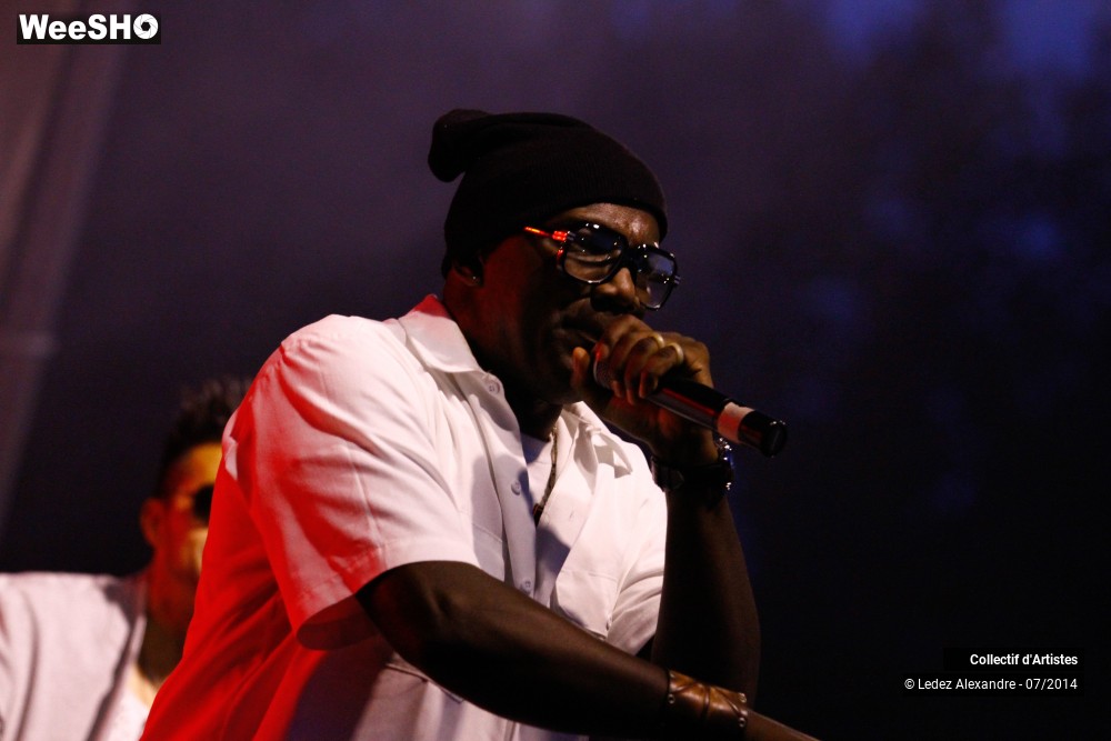 14/41 photos du spectacle Star 80' et Dj Mam's