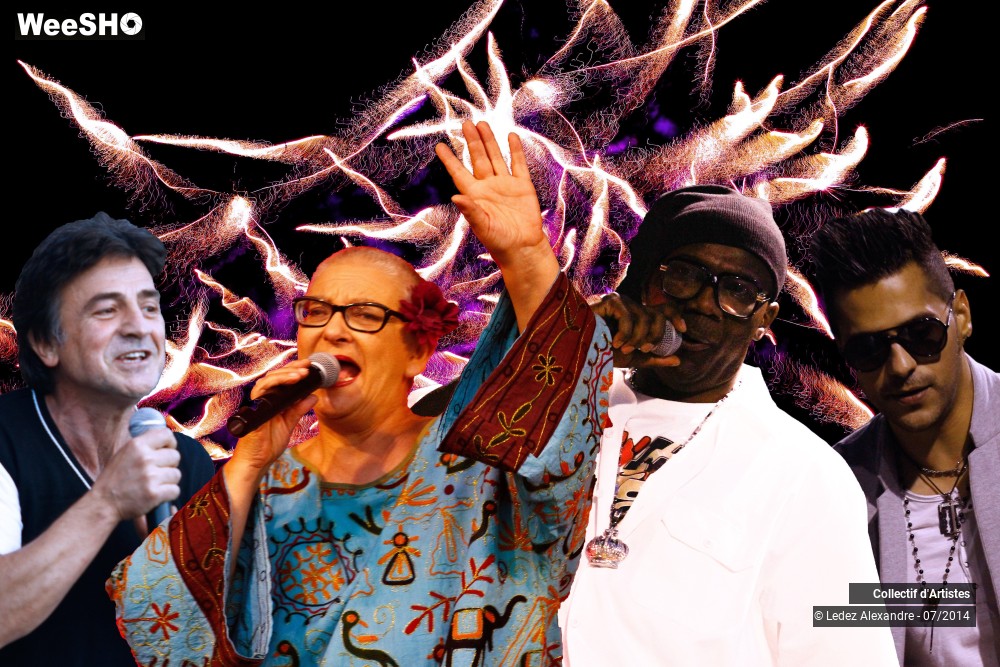 15/41 photos du spectacle Star 80' et Dj Mam's