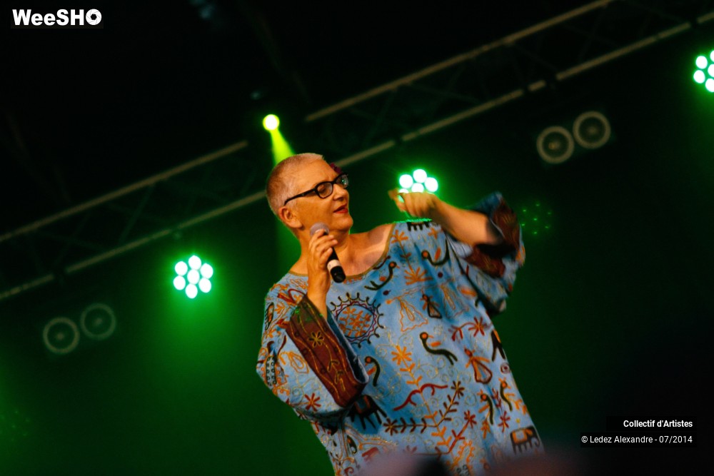 19/41 photos du spectacle Star 80' et Dj Mam's