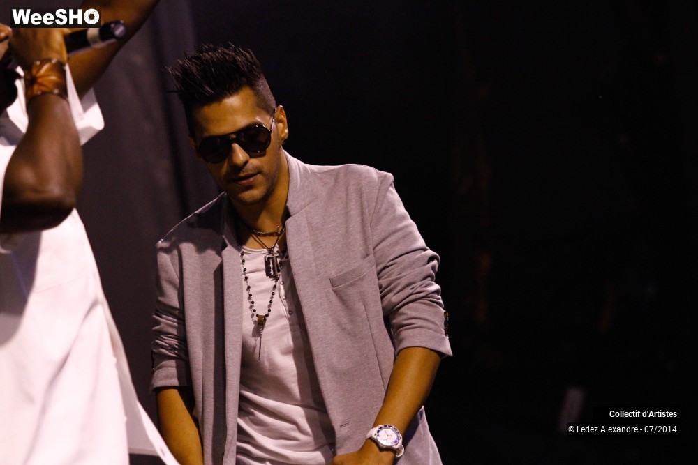 23/41 photos du spectacle Star 80' et Dj Mam's