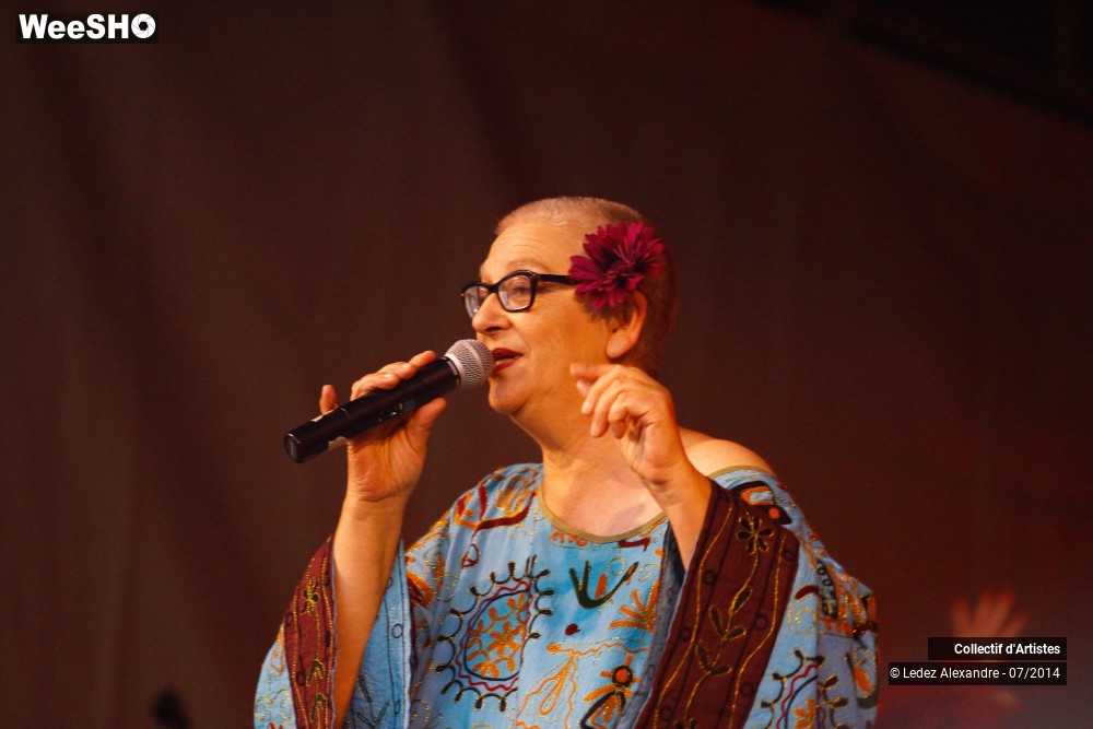 24/41 photos du spectacle Star 80' et Dj Mam's