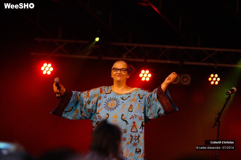 25/41 photos du spectacle Star 80' et Dj Mam's