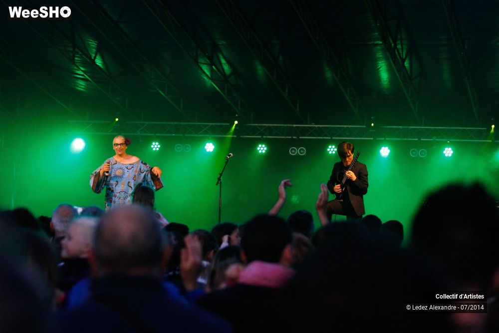 28/41 photos du spectacle Star 80' et Dj Mam's