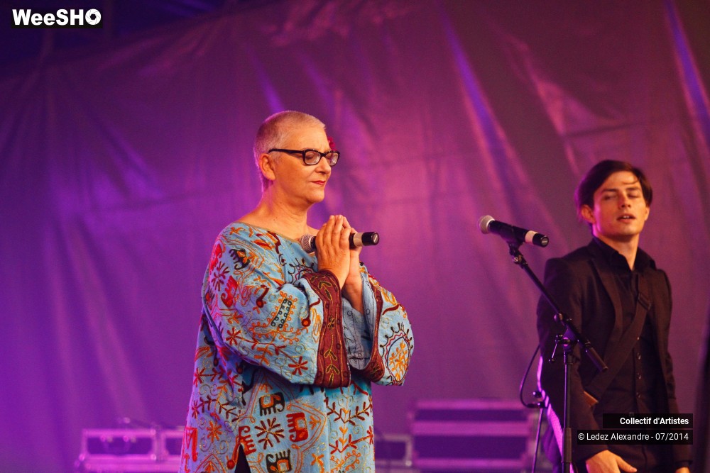 31/41 photos du spectacle Star 80' et Dj Mam's