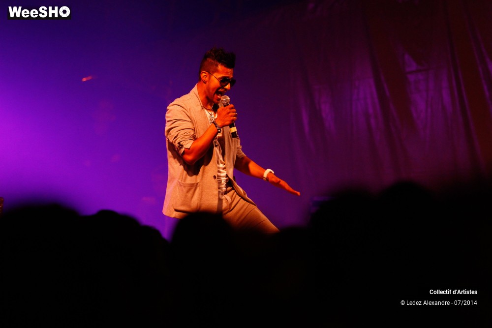 36/41 photos du spectacle Star 80' et Dj Mam's
