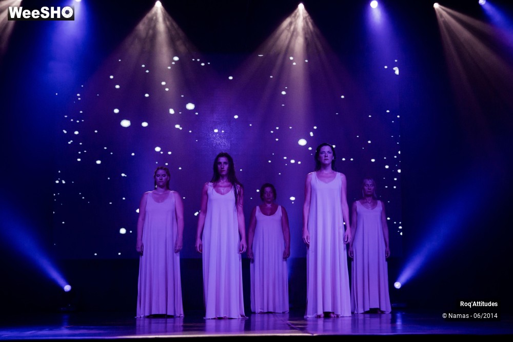 4/46 photos du spectacle Roq´Attitudes 2014 - Partie 1
