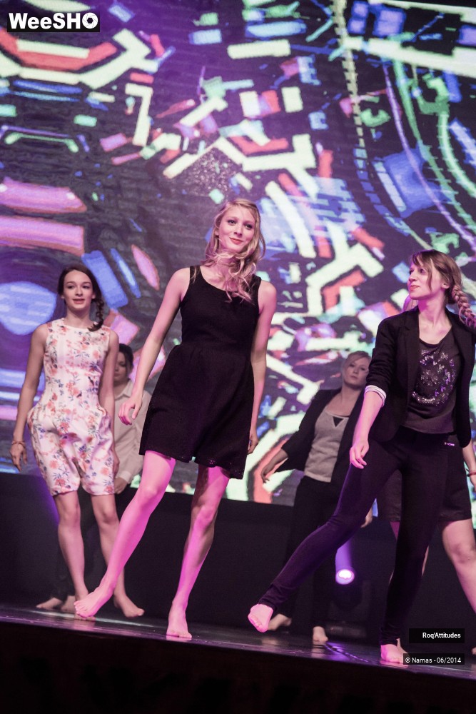 8/46 photos du spectacle Roq´Attitudes 2014 - Partie 1