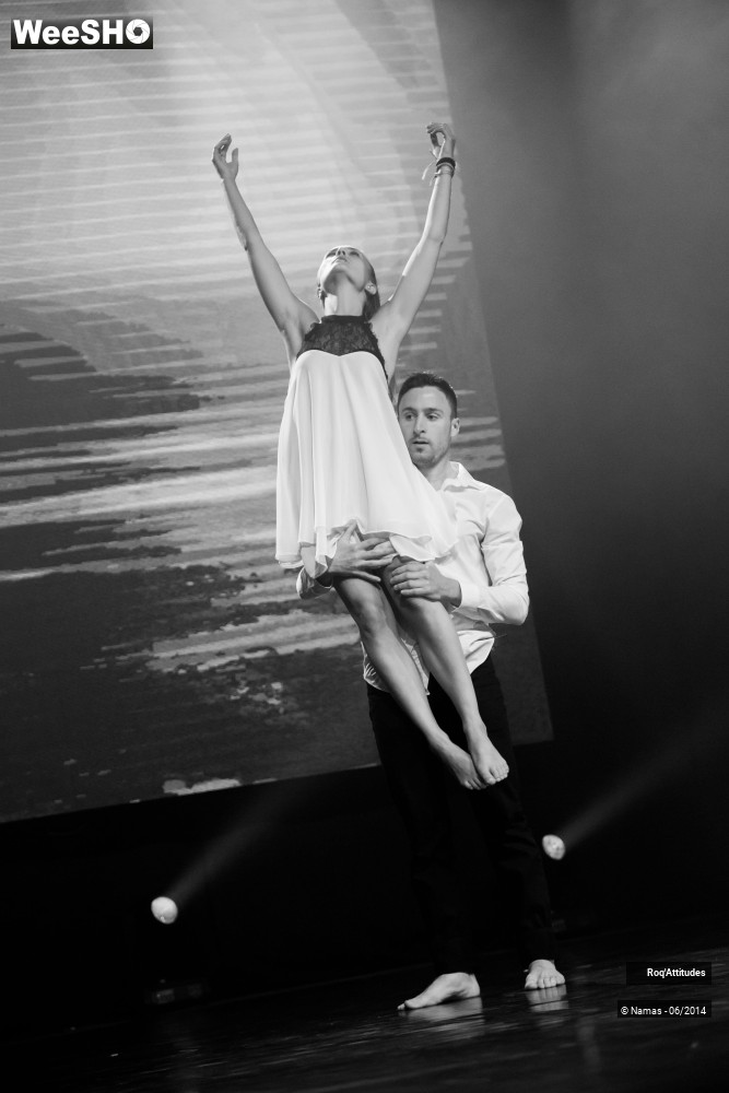 15/46 photos du spectacle Roq´Attitudes 2014 - Partie 1
