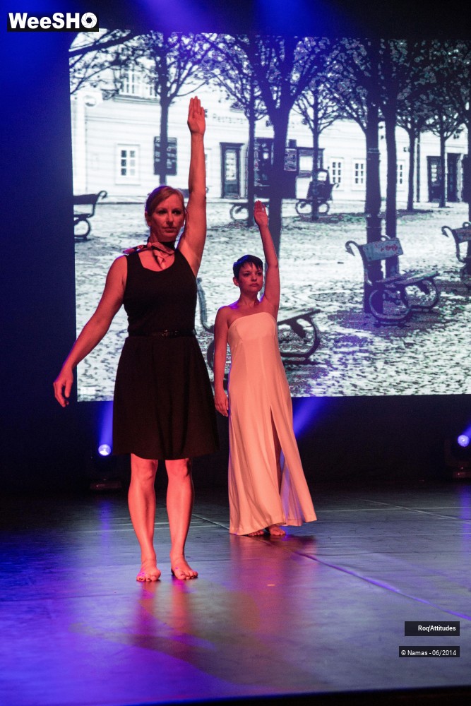 40/46 photos du spectacle Roq´Attitudes 2014 - Partie 1
