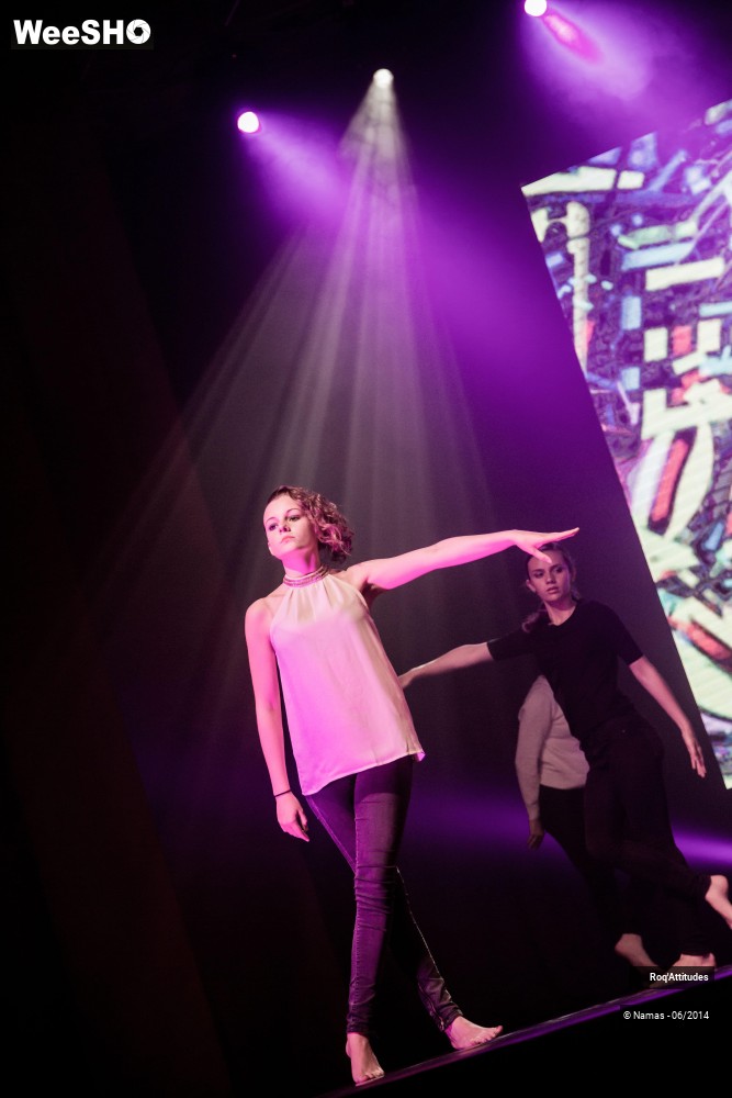 41/46 photos du spectacle Roq´Attitudes 2014 - Partie 1