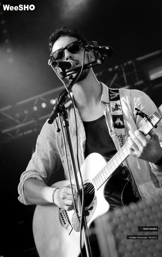 6/40 photos du spectacle David lemaitre