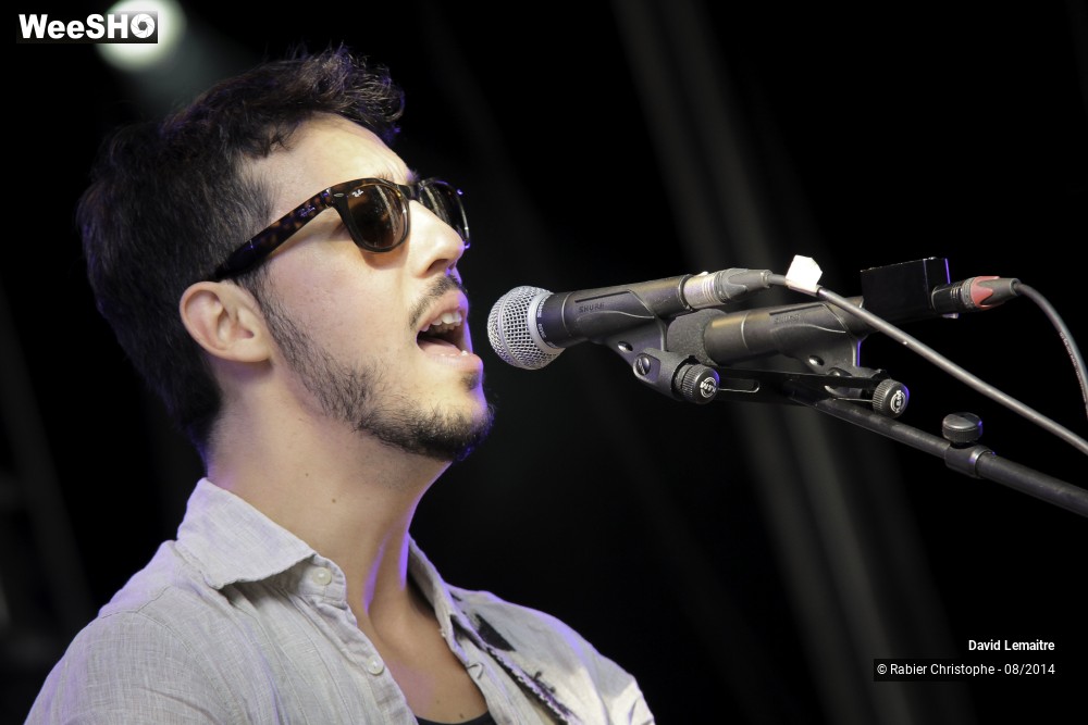 8/40 photos du spectacle David lemaitre