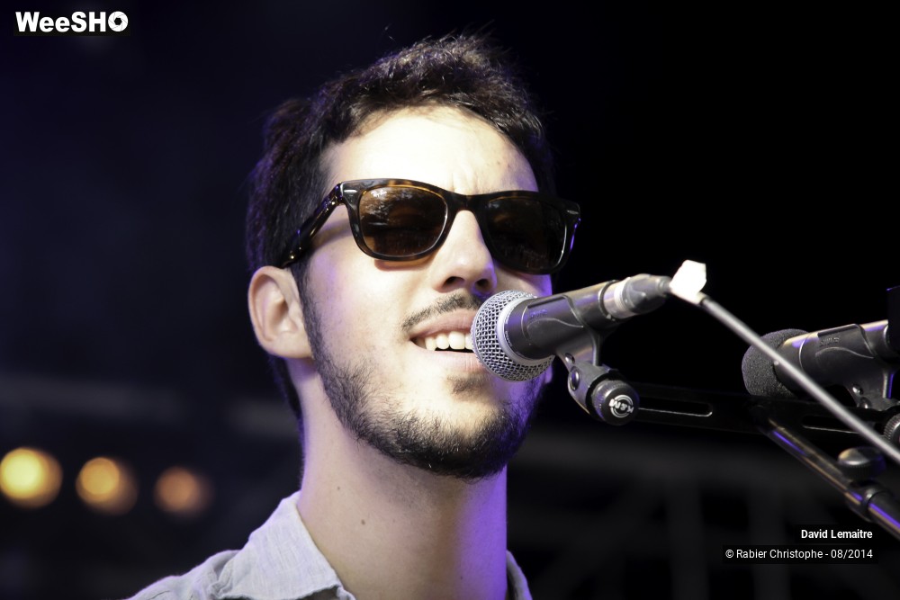 19/40 photos du spectacle David lemaitre