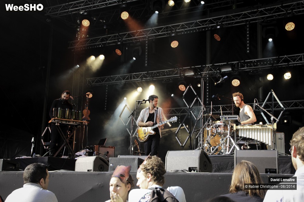 26/40 photos du spectacle David lemaitre