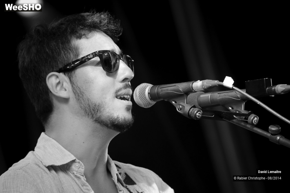 33/40 photos du spectacle David lemaitre