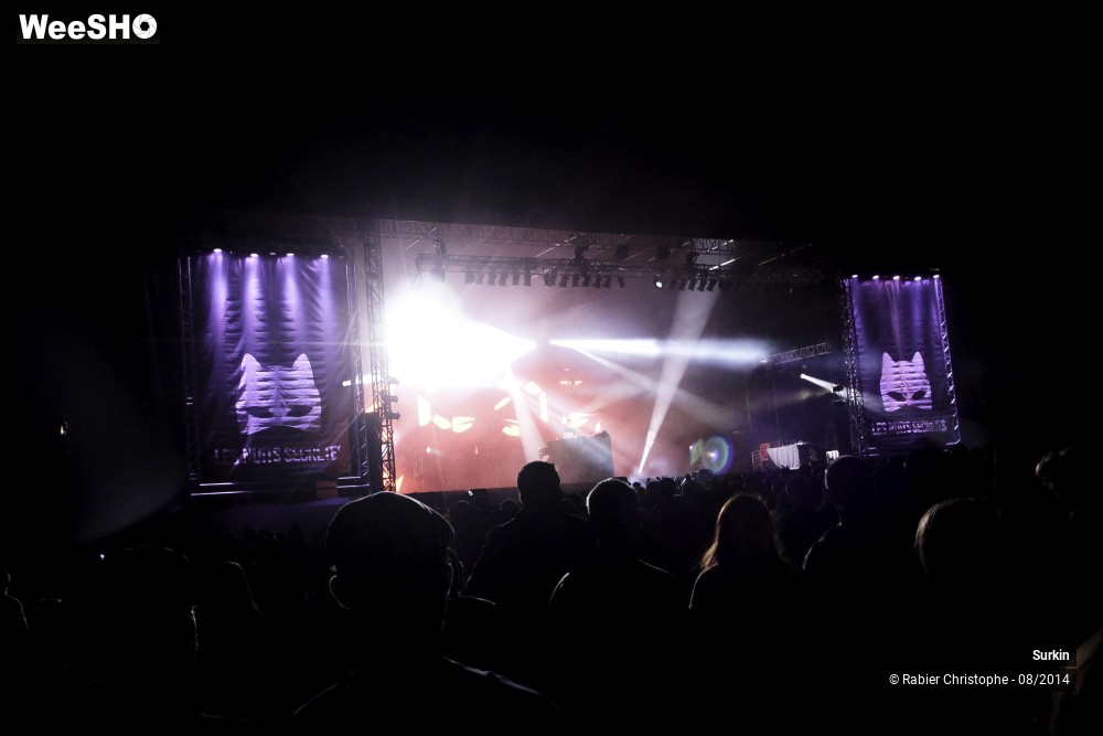 23/31 photos du spectacle Surkin