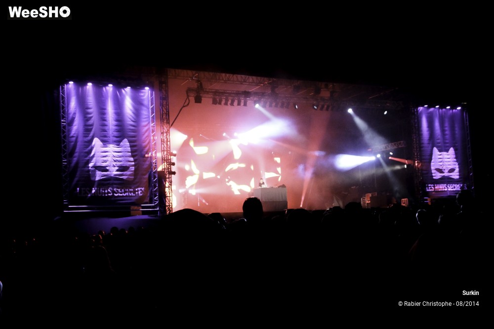 25/31 photos du spectacle Surkin