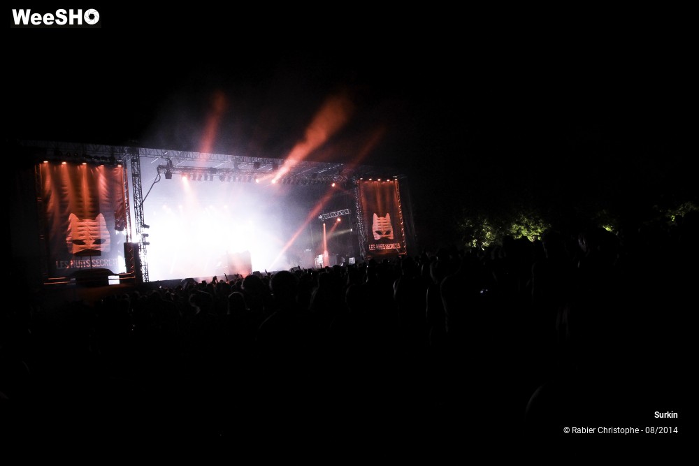 29/31 photos du spectacle Surkin