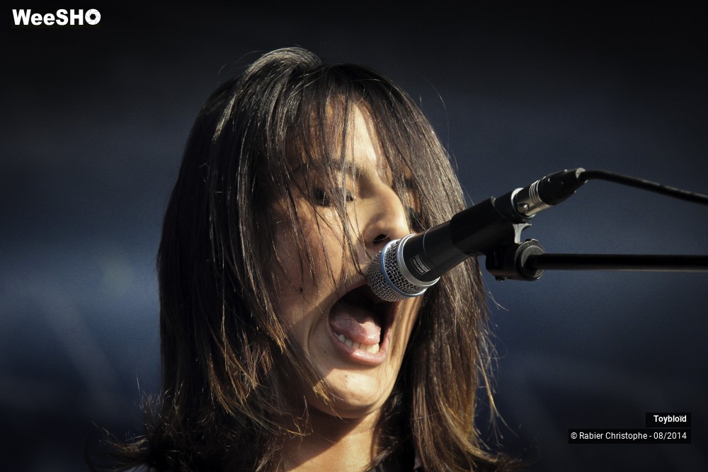 14/41 photos du spectacle Toybloid