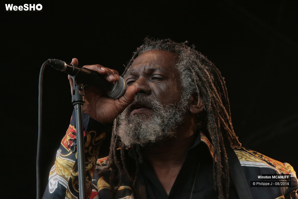 1/27 photos du spectacle Winston McAnuff & Fixi